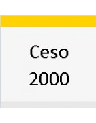CESO 2000